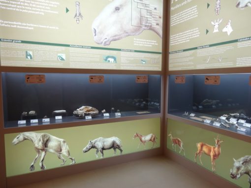 Centre de Restauració i Interpretació Paleontològica – Pierola