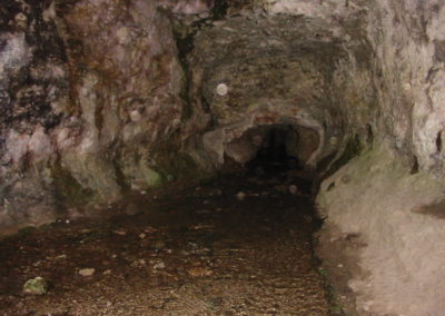 Cova del Toll – Parc Prehistòric