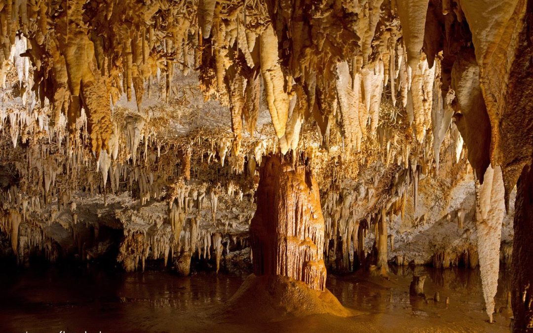 Cueva de Pozalagua (Pozalagua Kobazuloa)