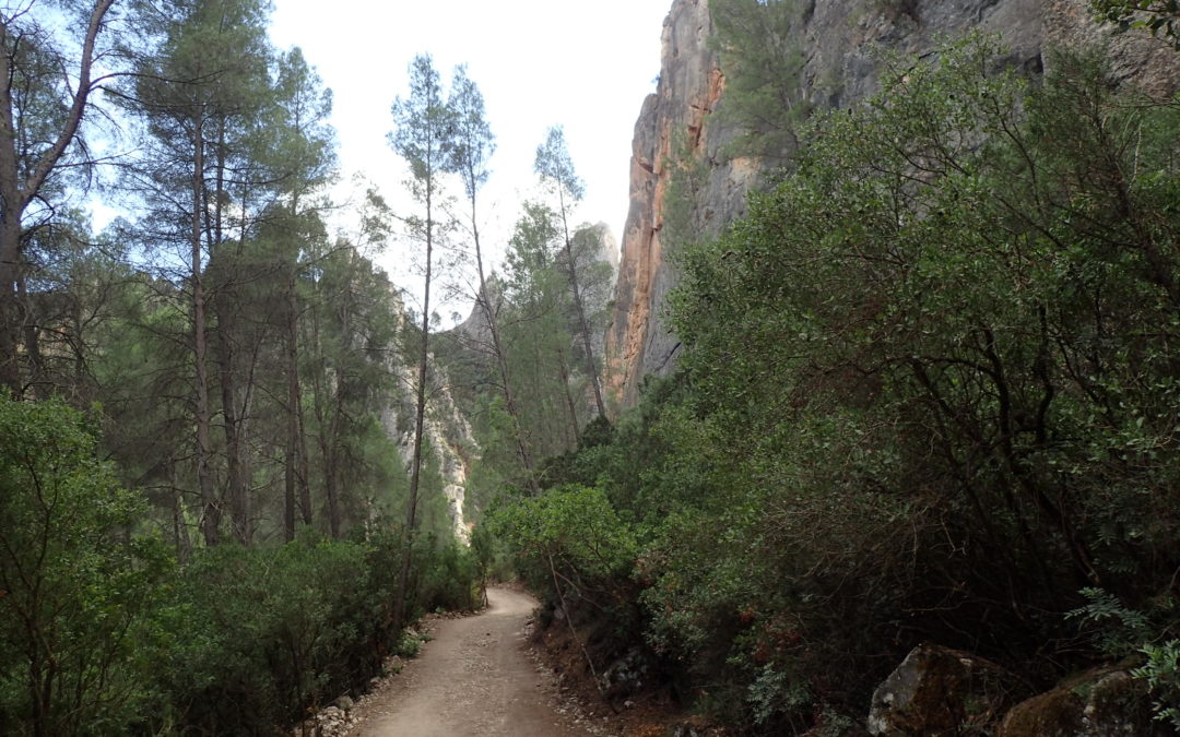 Reserva Natural de las Hoces del Cabriel. Minglanilla (Cuenca)