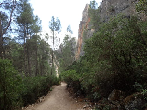 Reserva Natural de las Hoces del Cabriel. Minglanilla (Cuenca)