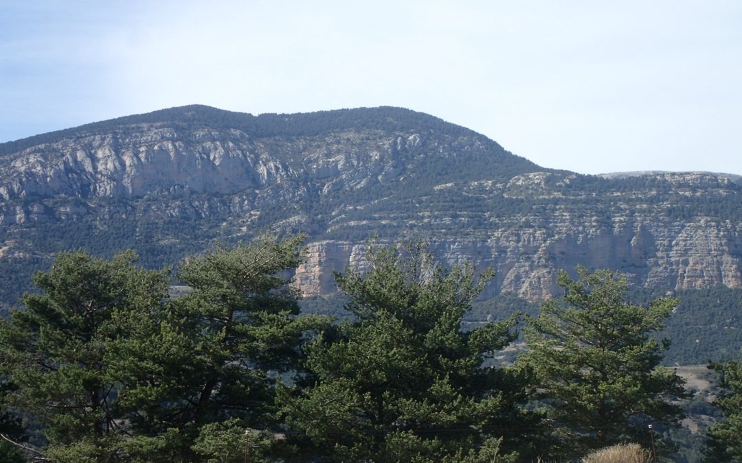 Parc Geològic i Miner dels Contraforts del Pirineu. Lleida
